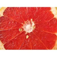 Grapefruit Seed Extract
