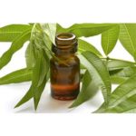 Citronella Essential Oil