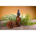 Pine, Siberian Essential Oil