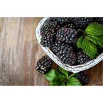 Blackberry Fragrance Oil