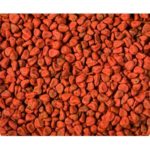 Annatto Seed Whole